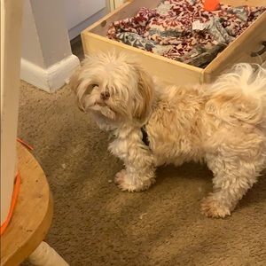 Meet your Posher, Tiffany